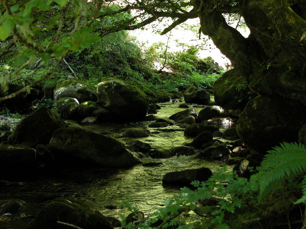 Casa Rural La Riba Sames 외부 사진